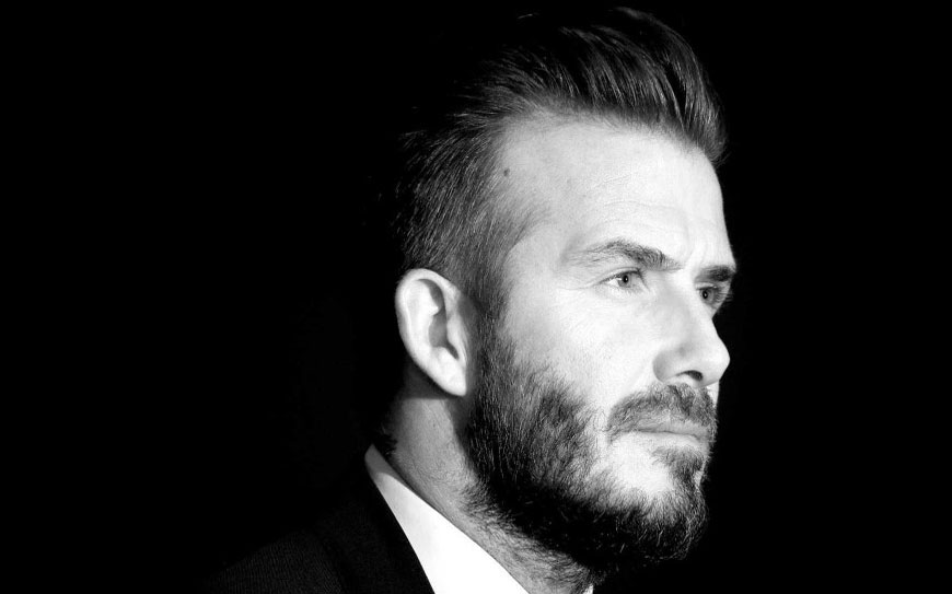 Scelerisque vestibulum urna