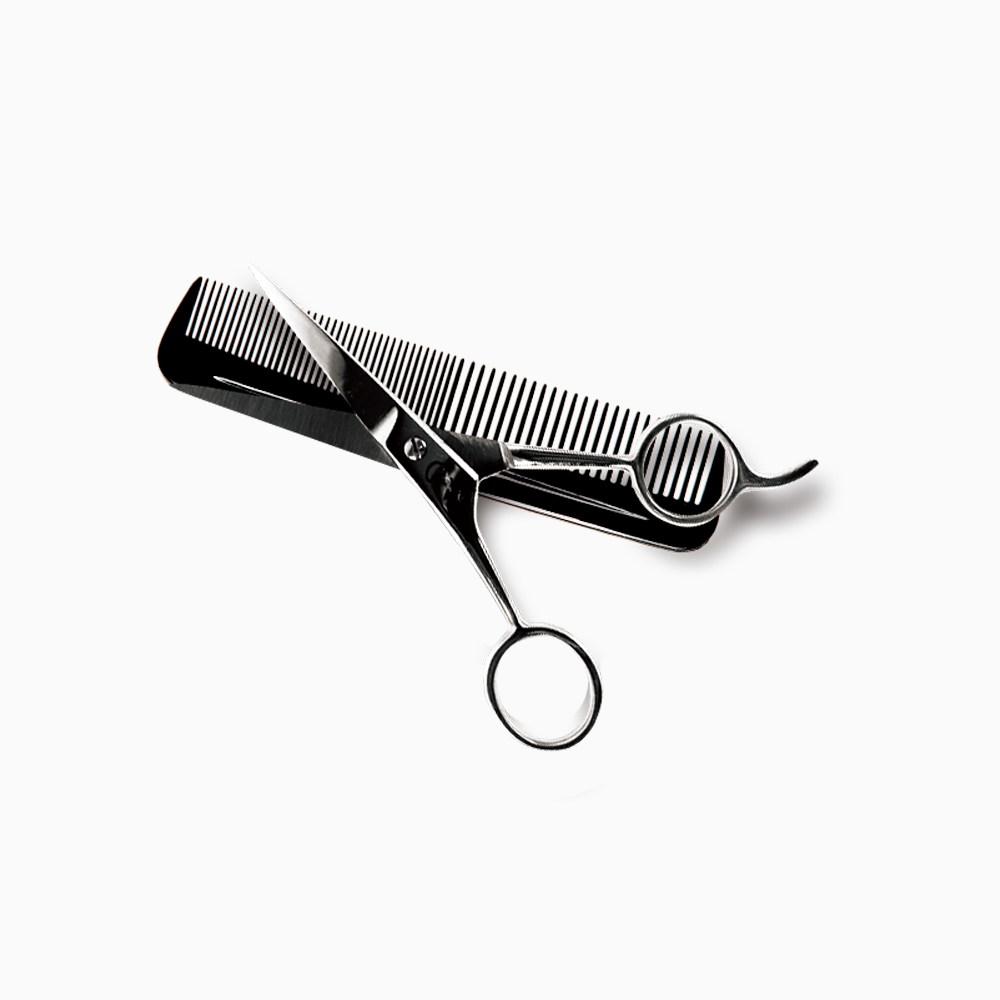 Zapantall Ionic Hairbrush